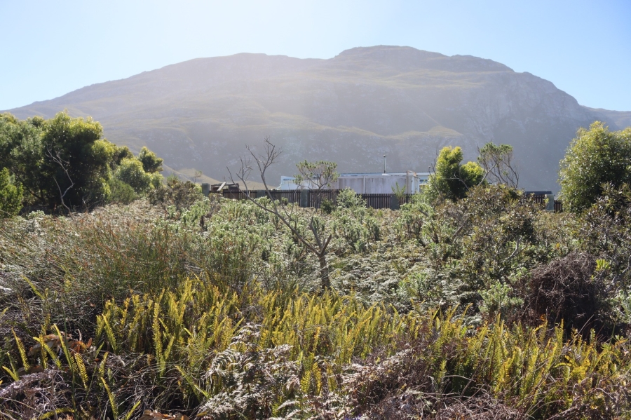 0 Bedroom Property for Sale in Bettys Bay Western Cape